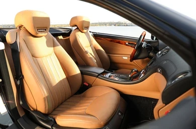 luxury car seat
