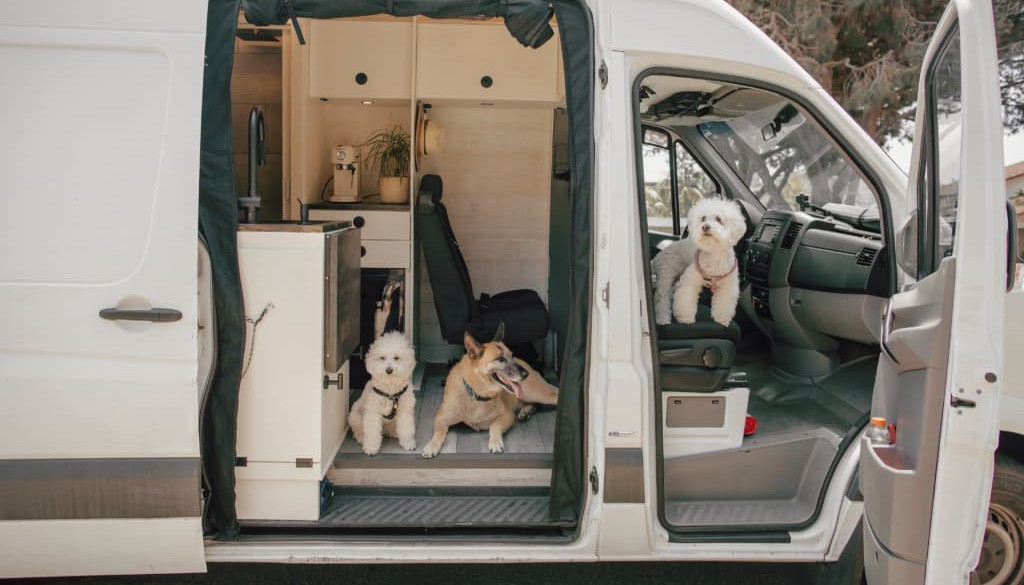 Sprinter van life Sprinter van life